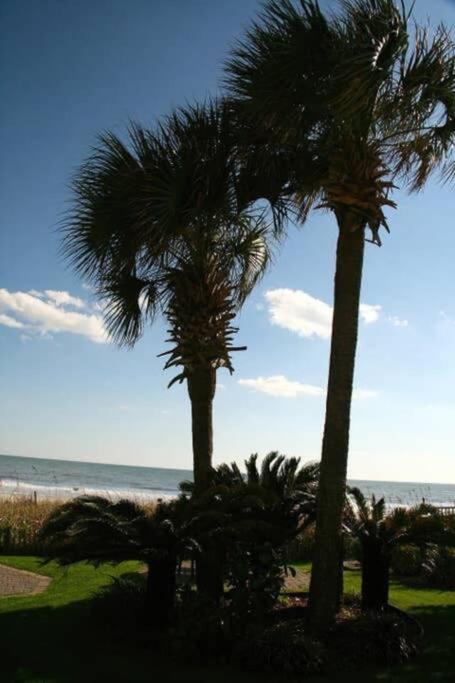 *Renovated Oceanfront Condo*Queen Beds*Pools*Hot Tubs*More*P220 Myrtle Beach Exterior foto
